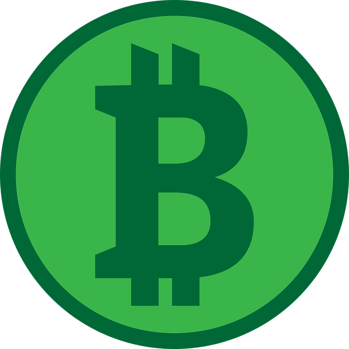 Bitcoin Cash